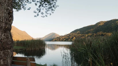 Bergsee mit Schilf, Waldhängen und Holzbank im Vordergrund