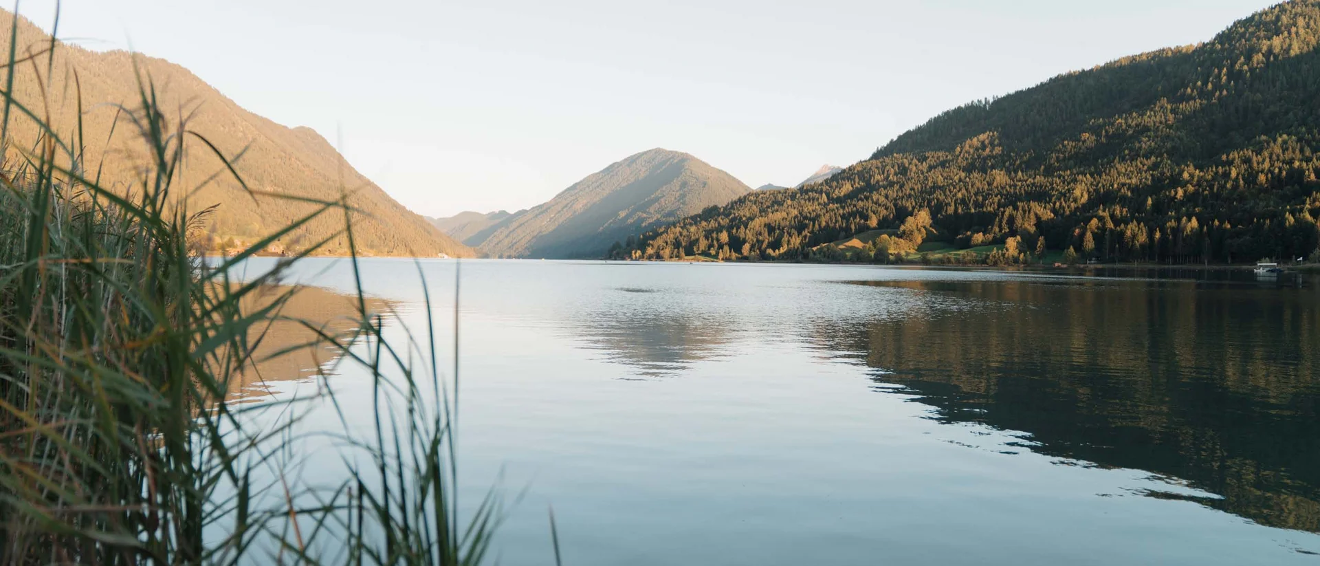 Hotel Lacus, Ihr Lieblingsplatz am Weissensee Bergsee mit Schilf im Vordergrund und bewaldeten Bergen