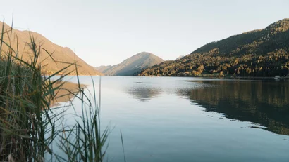 Bergsee mit Schilf im Vordergrund und bewaldeten Bergen